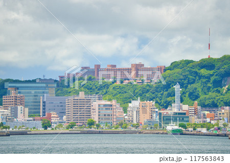 桜島溶岩なぎさ公園より 桜島溶岩なぎさ公園より 117563843
