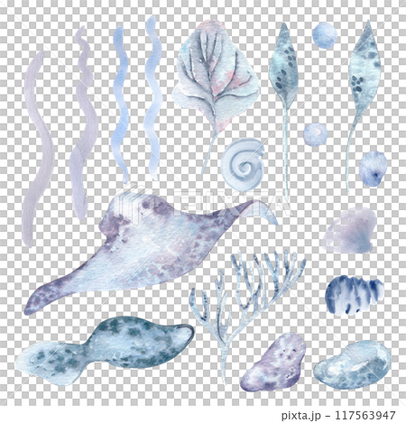 Ocean animals and sea plants in watercolor clipart. Monochrome blue marine life elements as bubbles, wavy lines and ocean creatures hand drawn . Stingray and underwater flora for marine summer design 117563947