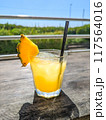 真夏のテラスで飲むパイナップルジュース 117564016