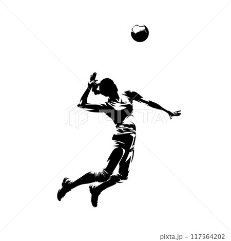 Volleyball player, woman, female team sport athlete, isolated vector silhouette Volleyball player, woman, female team sport athlete, isolated vector silhouette 117564202