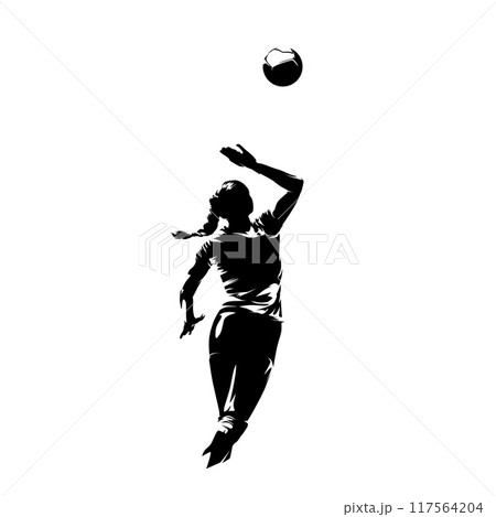 Volleyball player, woman, female team sport athlete, isolated vector silhouette Volleyball player, woman, female team sport athlete, isolated vector silhouette 117564204