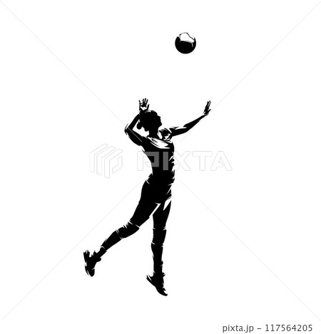 Volleyball player, woman, female team sport athlete, isolated vector silhouette Volleyball player, woman, female team sport athlete, isolated vector silhouette 117564205