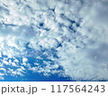青い空と雲の色　8月の空 117564243