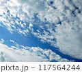 青い空と雲の色　8月の空 117564244