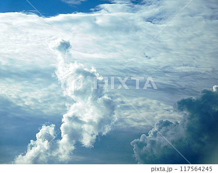 青い空と雲の色　8月の空 117564245