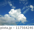 青い空と雲の色　8月の空 117564246