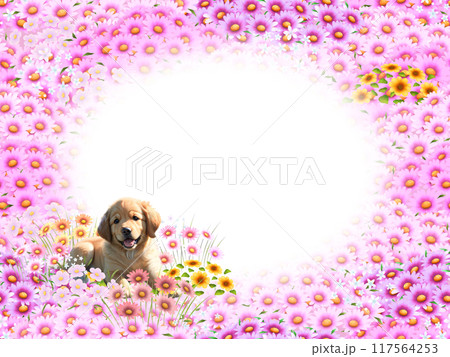 ゴールデンレトリバーのフレーム A ゴールデンレトリバーのフレーム A 117564253
