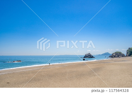 片浜十三里　遠州灘　渥美半島 117564328