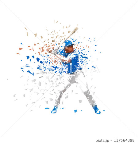 Baseball player, batter, isolated vector silhouette Baseball player, batter, isolated vector silhouette 117564389