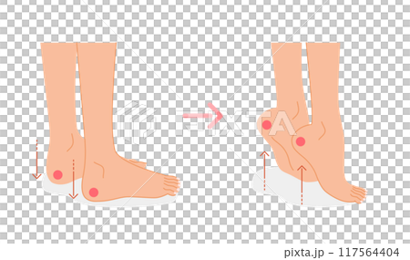 腳部腫脹：緩解腫脹的運動圖示（小腿伸展） 117564404