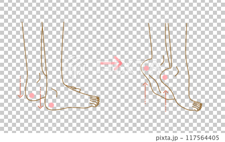 Swelling in the legs: Illustration of exercises to relieve swelling (calf stretches) 117564405