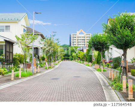 閑静な住宅街　無電柱化タウン 117564548