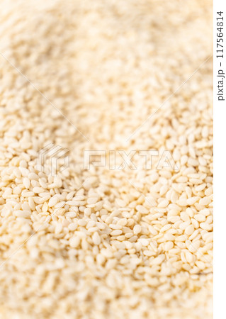 Close-up of white peeled sesame seeds Close-up of white peeled sesame seeds 117564814