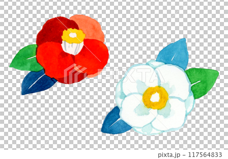 Camellia flowers (red and white set) Hand-drawn watercolor illustrations of plants Great for New Year's cards 117564833