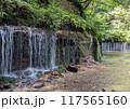 真夏の白糸の滝 117565160
