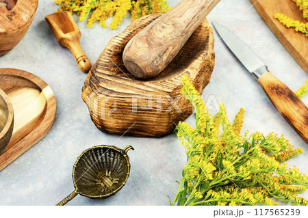 Medicinal herbs, alternative medicine. Medicinal herbs, alternative medicine. 117565239