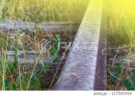 Old abandoned, unused railway line heading into sunset, oblivion. Due to lack of maintenance, driving, embankment is overgrown wild grass, sleepers are turning to dust, rails are starting to corrode 117565459