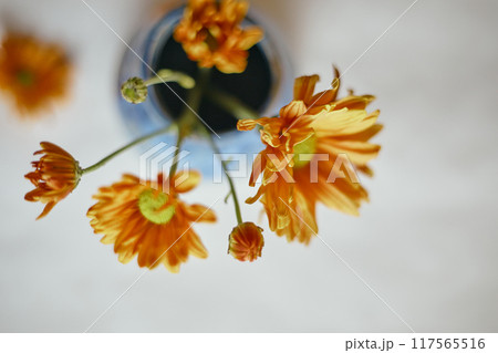 Ceramic vase with flowers Ceramic vase with flowers 117565516