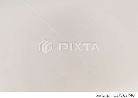 和紙によるボケ味を持つ背景素材(白色) 和紙によるボケ味を持つ背景素材(白色) 117565740