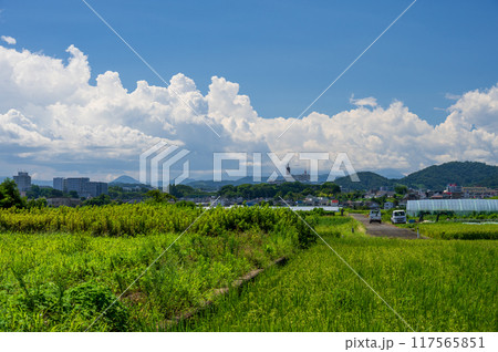 平塚の農村風景　暑さに負けずに農作業 117565851