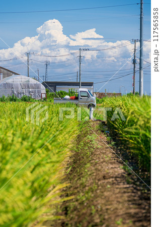 平塚の農村風景 暑さに負けずに農作業 平塚の農村風景 暑さに負けずに農作業 117565858