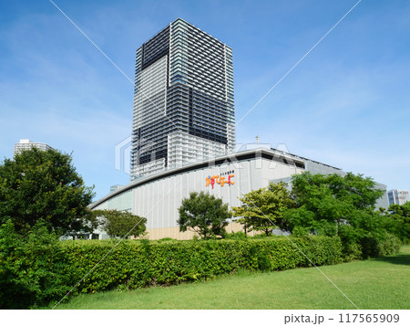 豊洲公園から見る風景 豊洲公園から見る風景 117565909