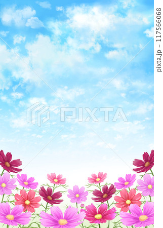 コスモス畑の背景　秋の風景　縦長 117566068