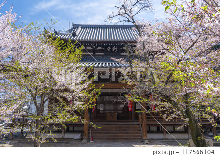京都八本山 桜の季節 立本寺 刹堂(鬼子母神堂) 京都八本山 桜の季節 立本寺 刹堂(鬼子母神堂) 117566104