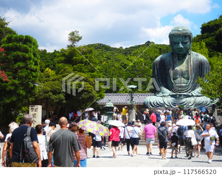 鎌倉の大仏(神奈川県鎌倉市) 鎌倉の大仏(神奈川県鎌倉市) 117566520