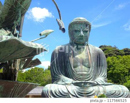 鎌倉の大仏(神奈川県鎌倉市) 鎌倉の大仏(神奈川県鎌倉市) 117566525