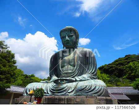 鎌倉の大仏（神奈川県鎌倉市） 117566526