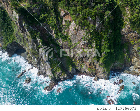 空撮「岩手県」圧倒的な高さの鵜の巣断崖をドローンで海側から撮影　田野畑村 117566673