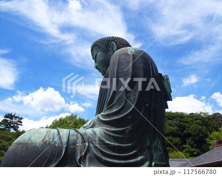鎌倉の大仏（神奈川県鎌倉市） 117566780