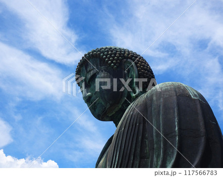 鎌倉の大仏(神奈川県鎌倉市) 鎌倉の大仏(神奈川県鎌倉市) 117566783