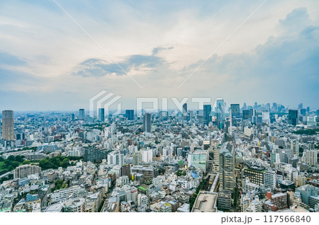 日本の東京の都市風景 日本の東京の都市風景 117566840