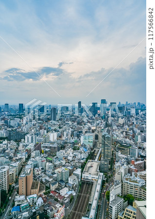 日本の東京の都市風景 117566842