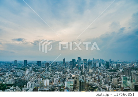 日本の東京の都市風景 日本の東京の都市風景 117566851