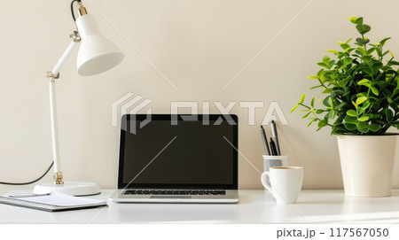 A modern workspace with a minimalist design: a clean white desk with a laptop, a stylish desk lamp and green plant. 117567050