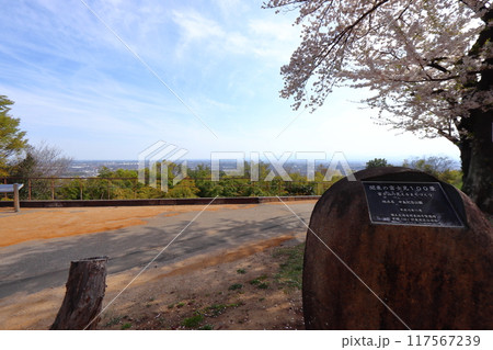 関東平野を見下ろす春の新田金山城 関東の富士見100景 117567239
