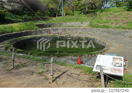 新田金山城跡の日ノ池（群馬県 太田市） 117567240