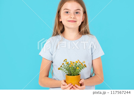 Cute child girl on an blue background, a girl holds a pot with a yellow flowers in pot in her hands Cute child girl on an blue background, a girl holds a pot with a yellow flowers in pot in her hands 117567244
