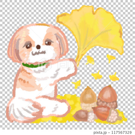 Shih Tzu holding a large ginkgo leaf Shih Tzu holding a large ginkgo leaf 117567329