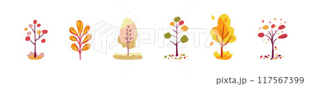 Set of decorative autumn trees. Autumn. Decorative pink and red trees with leaves. Multi-colored bright botany folk. Isolated vector white background 117567399