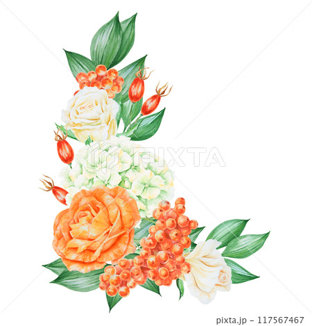Orange and white roses, hydrangea, rowan berries and rose hips. Hand drawn watercolor isolated corner frame with fall vegetables and plants for banner template with copy space for text. Autumn clipart Orange and white roses, hydrangea, rowan berries and rose hips. Hand drawn watercolor isolated corner frame with fall vegetables and plants for banner template with copy space for text. Autumn clipart 117567467