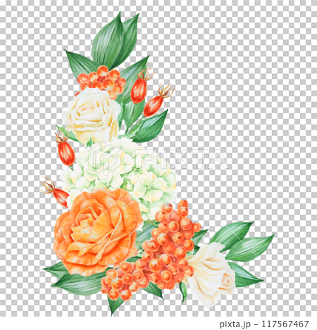 Orange and white roses, hydrangea, rowan berries and rose hips. Hand drawn watercolor isolated corner frame with fall vegetables and plants for banner template with copy space for text. Autumn clipart 117567467