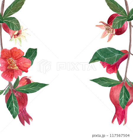 A branch with pomegranates, flowers and leaves watercolor frame isolated on white. Hand drawn realistic fruit element for cards, banners, posters, home decor, prints. Vibrant autumn plant clip art A branch with pomegranates, flowers and leaves watercolor frame isolated on white. Hand drawn realistic fruit element for cards, banners, posters, home decor, prints. Vibrant autumn plant clip art 117567504