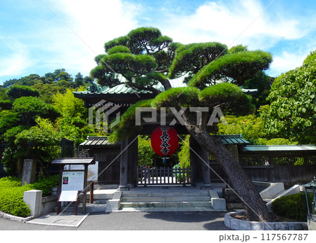 長谷寺（神奈川県鎌倉市） 117567787
