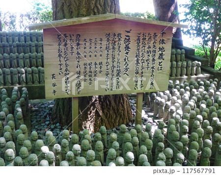 長谷寺の千体地蔵の説明看板(神奈川県鎌倉市) 長谷寺の千体地蔵の説明看板(神奈川県鎌倉市) 117567791