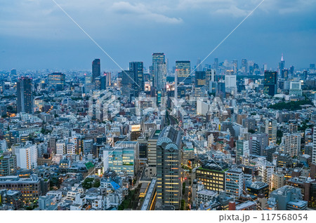 日本の首都東京の夜景 日本の首都東京の夜景 117568054