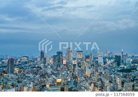 日本の首都東京の夜景 117568059